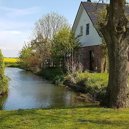 Ferienhaus In Landschaftspolder Mit Grossem Garten - B48573